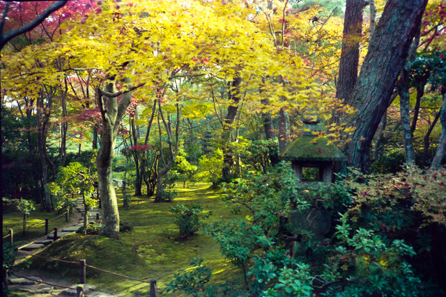 Khoảnh khắc mùa thu tuyệt đẹp ở Kyoto năm 1990 - Hình 11 Khoanh khac mua thu tuyet dep o Kyoto nam 1990-Hinh-11