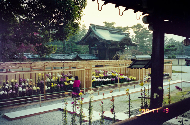 Khoảnh khắc mùa thu tuyệt đẹp ở Kyoto năm 1990 - Hình 14 Khoanh khac mua thu tuyet dep o Kyoto nam 1990-Hinh-14