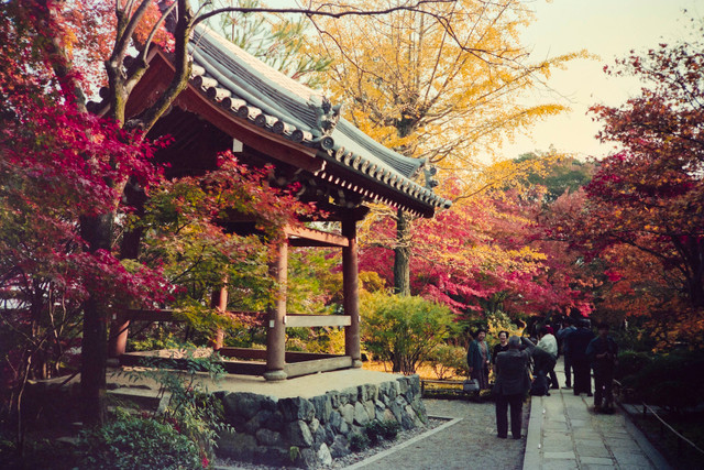 Khoảnh khắc mùa thu tuyệt đẹp ở Kyoto năm 1990 - Hình 7 Khoanh khac mua thu tuyet dep o Kyoto nam 1990-Hinh-7