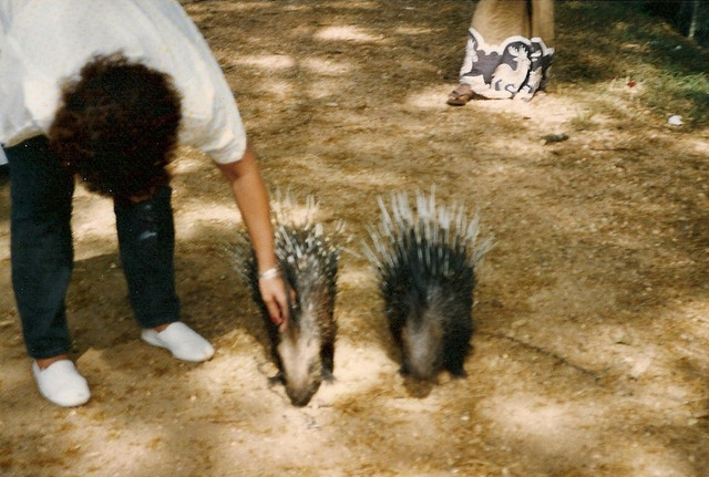 Trải nghiệm cuộc sống cực thú vị ở Sri Lanka năm 1993 - Hình 8 Trai nghiem cuoc song cuc thu vi o Sri Lanka nam 1993-Hinh-8