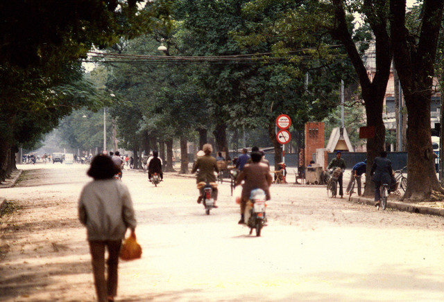 Mát mắt với những con đường rợp bóng cây ở Hà Nội năm 1990 Mat mat voi nhung con duong rop bong cay o Ha Noi nam 1990