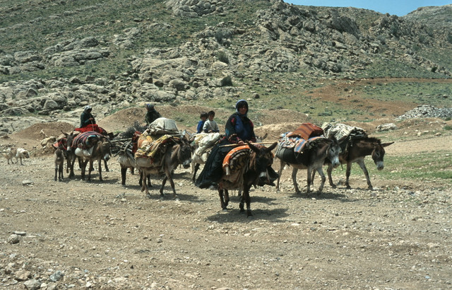 Loạt ảnh sinh động về cuộc sống muôn màu ở Iran năm 1996 - Hình 13 Loat anh sinh dong ve cuoc song muon mau o Iran nam 1996-Hinh-13