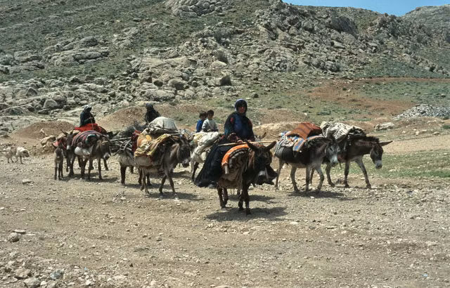 Loat anh sinh dong ve cuoc song muon mau o Iran nam 1996-Hinh-13