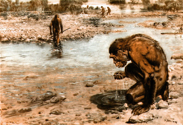 Biet gi ve nguon goc cau thanh ngu “an long o lo”?-Hinh-2