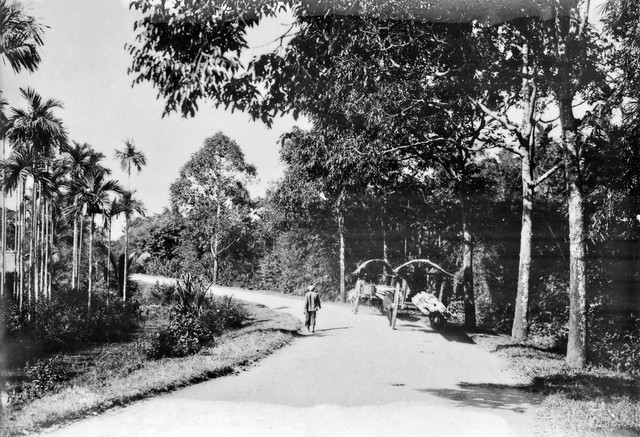 Hình ảnh quý về giao thông trên Quốc lộ 1 hơn 100 năm trước - Hình 2 Hinh anh quy ve giao thong tren Quoc lo 1 hon 100 nam truoc-Hinh-2