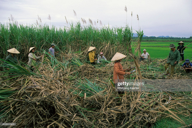 Viet Nam nam 1992 dan da qua ong kinh phong vien Duc-Hinh-7