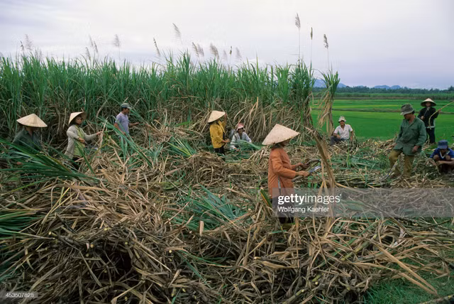 Viet Nam nam 1992 dan da qua ong kinh phong vien Duc-Hinh-7