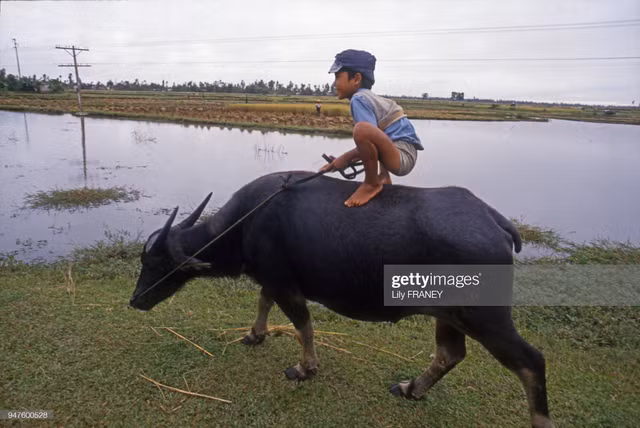 Loat anh phai xem ve nong thon Viet Nam nam 1987-Hinh-3