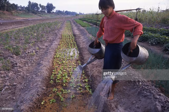 Loat anh phai xem ve nong thon Viet Nam nam 1987-Hinh-6