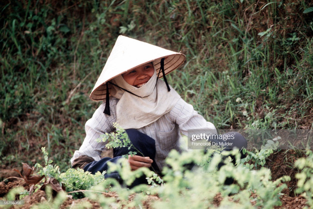 Thành phố Vinh năm 1989 và loạt ảnh hiếm có - Hình 8 Thanh pho Vinh nam 1989 va loat anh hiem co-Hinh-8