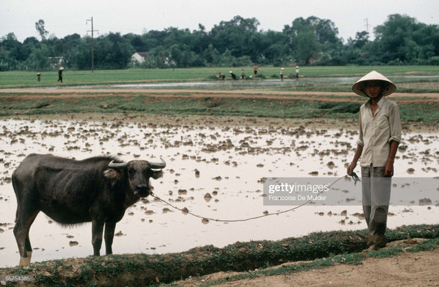 Thành phố Vinh năm 1989 và loạt ảnh hiếm có - Hình 6 Thanh pho Vinh nam 1989 va loat anh hiem co-Hinh-6