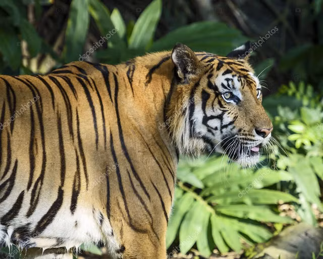 Truyen thuyet ky bi ve viec tho than Ho cua nguoi Viet xua-Hinh-4