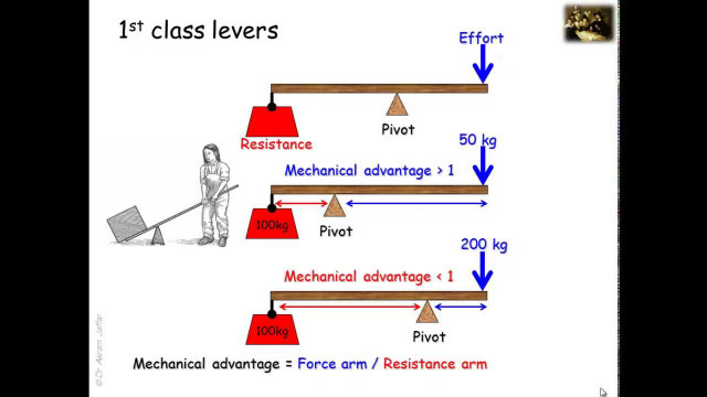 Thiên tài Hy Lạp Archimedes và những phát minh để đời - Hình 3 Thien tai Hy Lap Archimedes va nhung phat minh de doi-Hinh-3