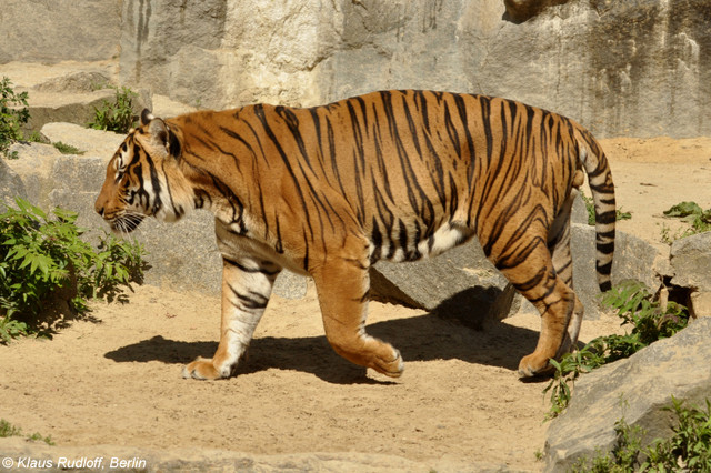 Biet gi ve 9 noi ho hien dai, 3 noi bi tuyet chung?-Hinh-7