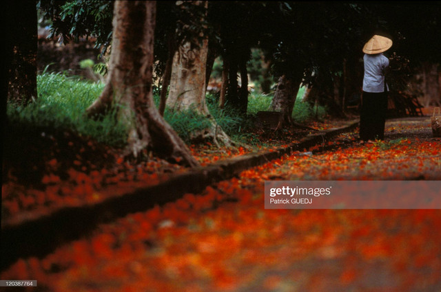 Cuộc sống sinh động ở Việt Nam cuối thập niên 1990 - Hình 6 Cuoc song sinh dong o Viet Nam cuoi thap nien 1990-Hinh-6