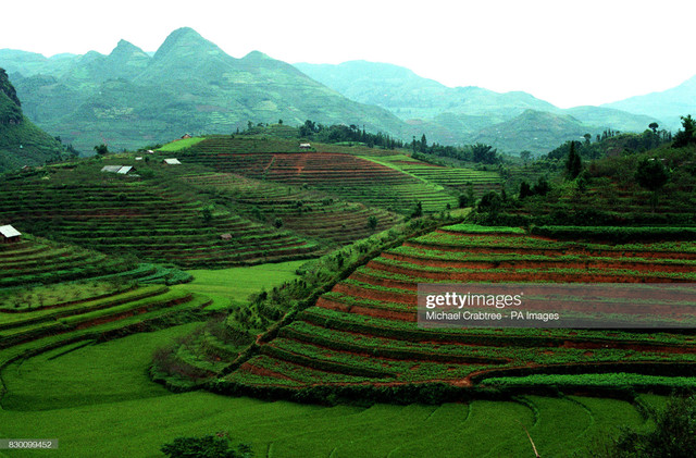 Việt Nam thập niên 1990 tuyệt đẹp qua ống kính người Mỹ - Hình 5 Viet Nam thap nien 1990 tuyet dep qua ong kinh nguoi My-Hinh-5