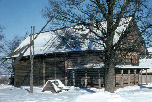 Tan muc cuoc song chim trong tuyet trang o nuoc Nga mua dong 1979-Hinh-9