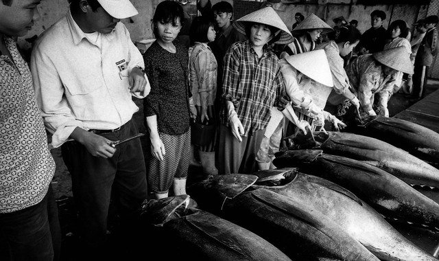 Góc nhìn lạ về Việt Nam năm 2000 của nhiếp ảnh gia Hà Lan - Hình 10 Goc nhin la ve Viet Nam nam 2000 cua nhiep anh gia Ha Lan-Hinh-10