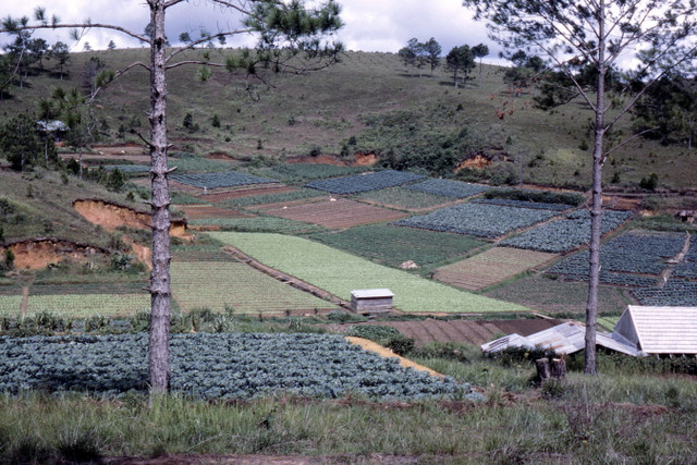 Ngắm Đà Lạt năm 1963 cực sinh động qua loạt ảnh hiếm - Hình 12 Ngam Da Lat nam 1963 cuc sinh dong qua loat anh hiem-Hinh-12