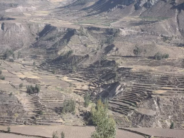 Choang ngop canh tuong o hem nui sau nhat chau My Colca Canyon-Hinh-4