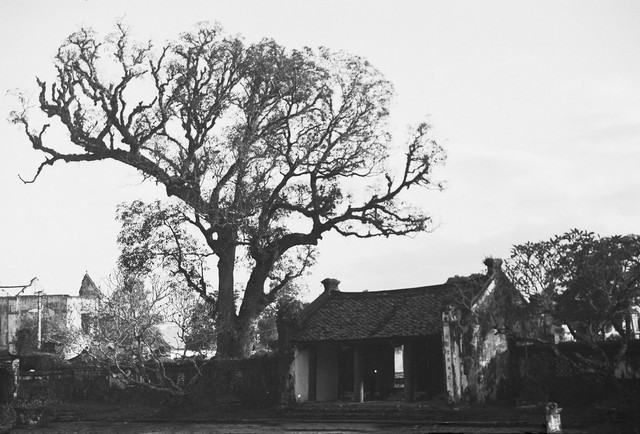 Loạt ảnh quý về chùa Liên Phái ở Hà Nội năm 1952 Loat anh quy ve chua Lien Phai o Ha Noi nam 1952