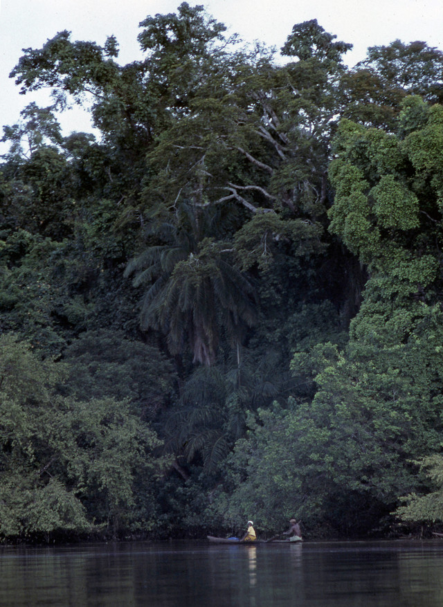 Loat anh kho quen ve dat nuoc Nigeria nam 1980-Hinh-6