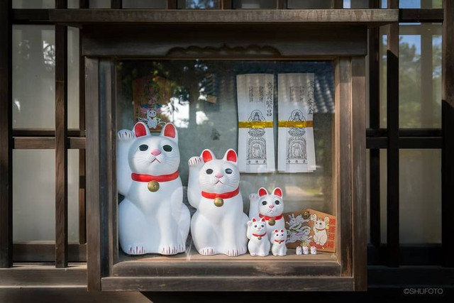 Kỳ lạ ngôi đền có hàng nghìn tượng mèo may mắn ở Nhật Bản - Hình 8 Ky la ngoi den co hang nghin tuong meo may man o Nhat Ban-Hinh-8