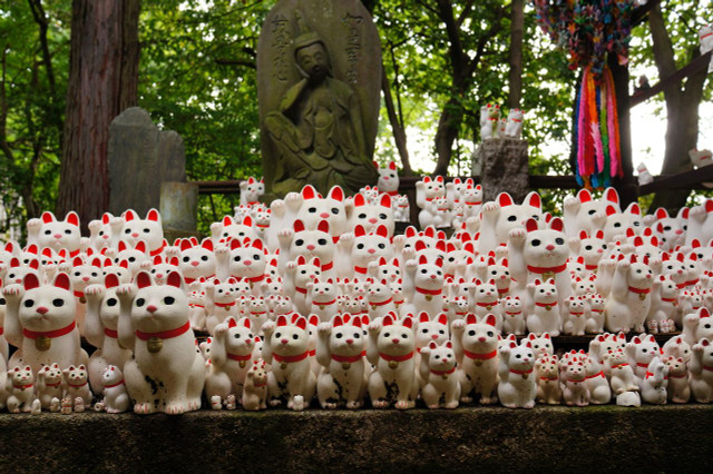 Kỳ lạ ngôi đền có hàng nghìn tượng mèo may mắn ở Nhật Bản - Hình 7 Ky la ngoi den co hang nghin tuong meo may man o Nhat Ban-Hinh-7