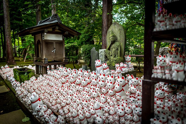 Kỳ lạ ngôi đền có hàng nghìn tượng mèo may mắn ở Nhật Bản - Hình 2 Ky la ngoi den co hang nghin tuong meo may man o Nhat Ban-Hinh-2