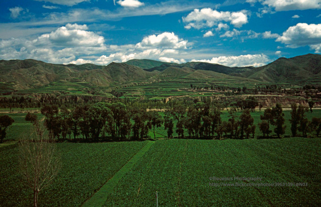 Thu vi hanh trinh tu Bac Kinh den Moscow bang tau hoa nam 1998-Hinh-3