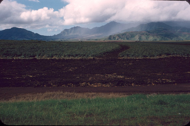 Cuoc song 'nhu tien' tren dao Hawaii 7 thap ky truoc-Hinh-9