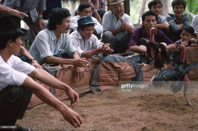 Những hình ảnh thú vị về miền Việt Nam năm 1995 - Hình 9 Nhung hinh anh thu vi ve mien Viet Nam nam 1995-Hinh-9