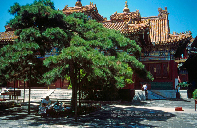 Anh song dong ve doi thuong o Bac Kinh nam 1998-Hinh-6