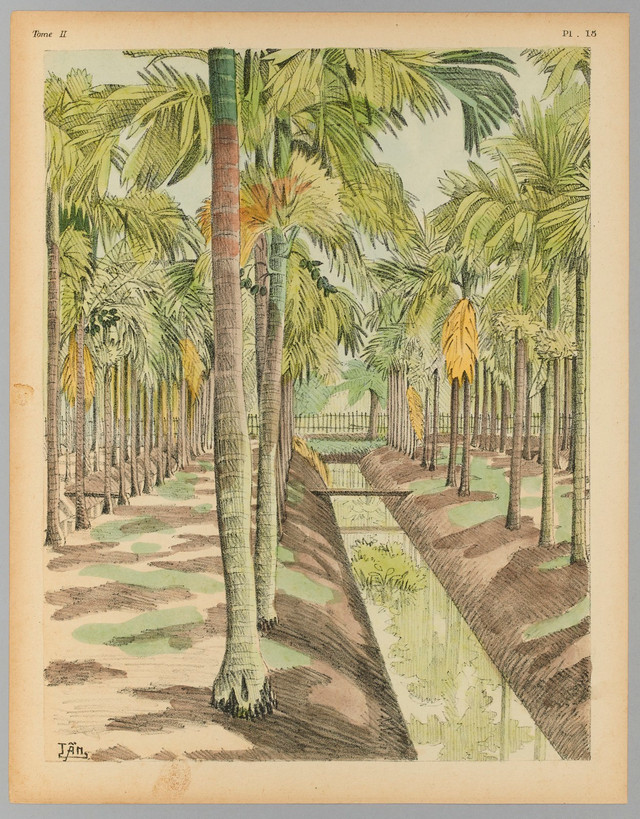 Tranh màu chân thực về cuộc sống xưa ở vùng nông thôn Nam Bộ - Hình 2 Tranh mau chan thuc ve cuoc song xua o vung nong thon Nam Bo-Hinh-2