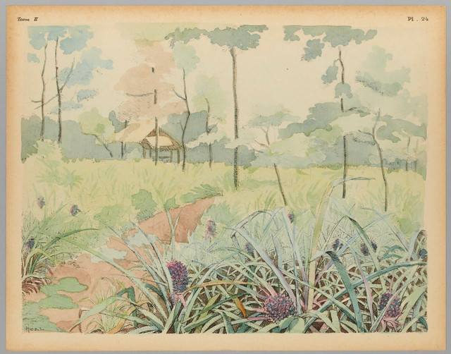 Tranh màu chân thực về cuộc sống xưa ở vùng nông thôn Nam Bộ - Hình 5 Tranh mau chan thuc ve cuoc song xua o vung nong thon Nam Bo-Hinh-5