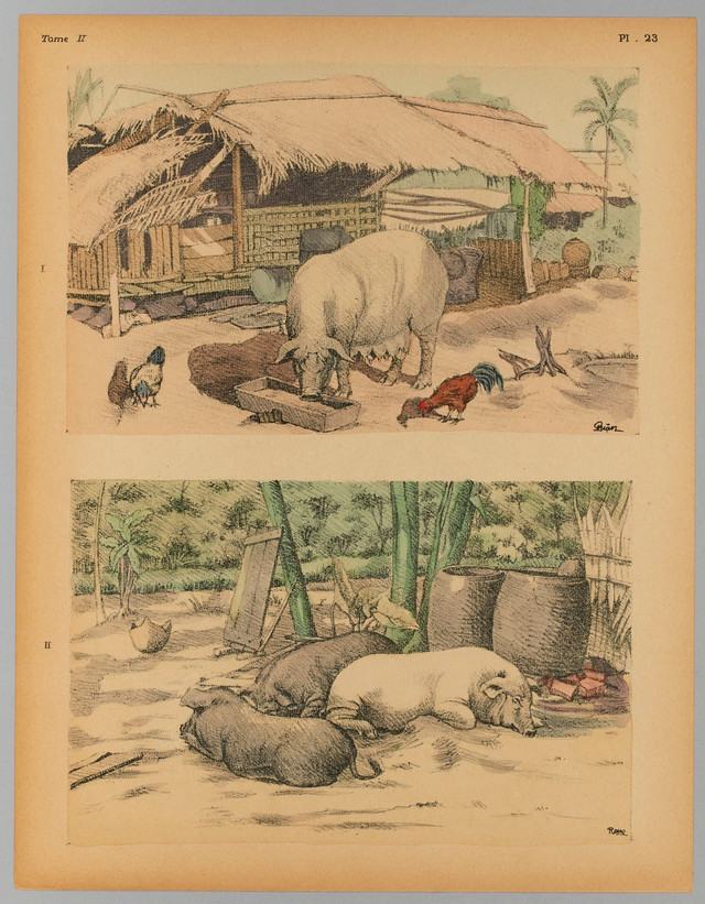 Tranh màu chân thực về cuộc sống xưa ở vùng nông thôn Nam Bộ - Hình 4 Tranh mau chan thuc ve cuoc song xua o vung nong thon Nam Bo-Hinh-4