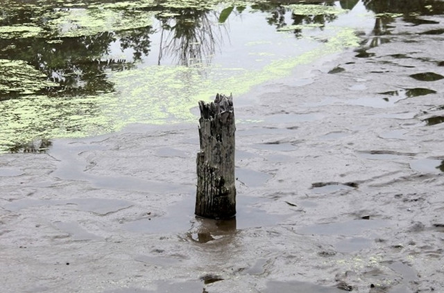 Những phát hiện khảo cổ học đáng chú ý nhất Việt Nam năm 2020 Nhung phat hien khao co hoc dang chu y nhat Viet Nam nam 2020