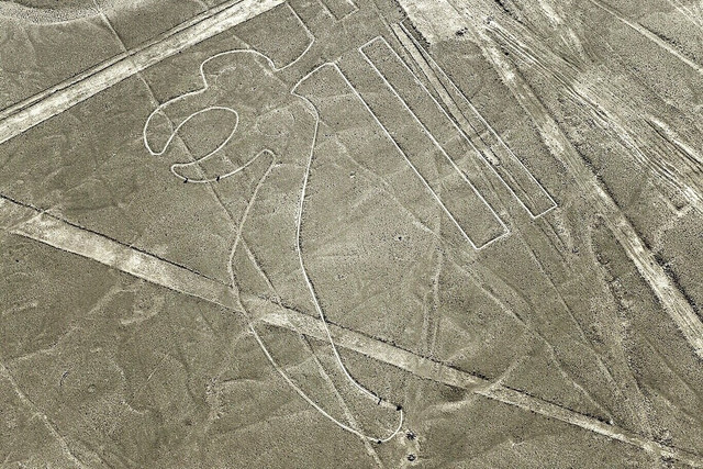 Nhà khoa học giải thích gì về hình vẽ khổng lồ ở cao nguyên Nazca? - Hình 9 Nha khoa hoc giai thich gi ve hinh ve khong lo o cao nguyen Nazca?-Hinh-9