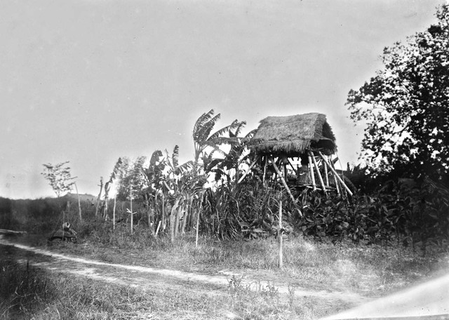 Hành trình xuyên Quốc lộ 1 năm 1898 qua loạt ảnh hiếm - Hình 11 Hanh trinh xuyen Quoc lo 1 nam 1898 qua loat anh hiem-Hinh-11