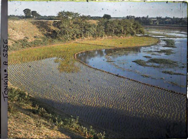 Cuoc song nong thon Bac Bo binh di trong anh mau tram tuoi-Hinh-11