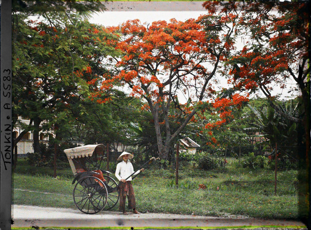 Phố Hà Nội năm 1915 rợp bóng cây xanh qua ảnh màu cực quý - Hình 9 Pho Ha Noi nam 1915 rop bong cay xanh qua anh mau cuc quy-Hinh-9