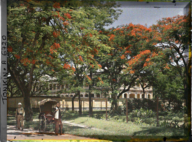 Phố Hà Nội năm 1915 rợp bóng cây xanh qua ảnh màu cực quý - Hình 7 Pho Ha Noi nam 1915 rop bong cay xanh qua anh mau cuc quy-Hinh-7