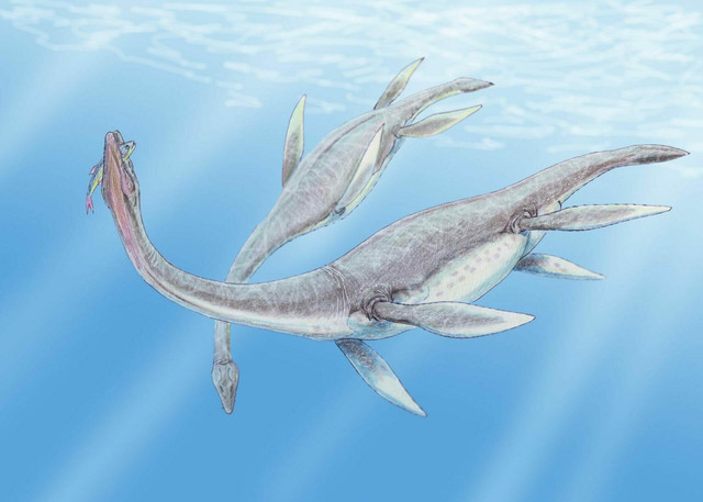 Xem răng khủng long Spinosaurus ở Hà Nội - Hình 6 Xem rang khung long Spinosaurus o Ha Noi-Hinh-6