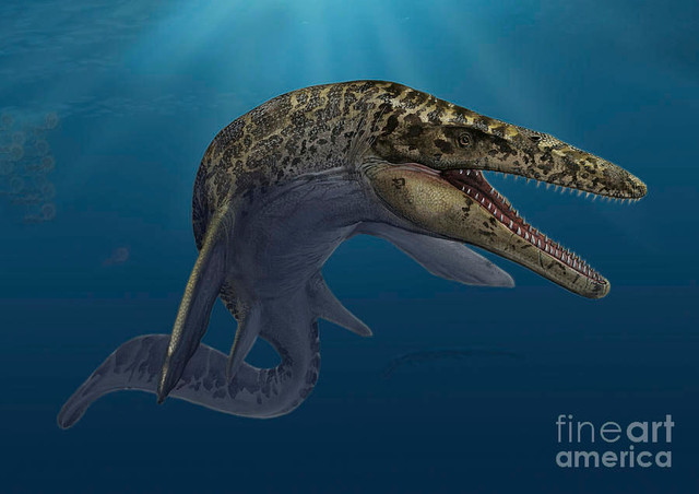 Xem răng khủng long Spinosaurus ở Hà Nội - Hình 8 Xem rang khung long Spinosaurus o Ha Noi-Hinh-8
