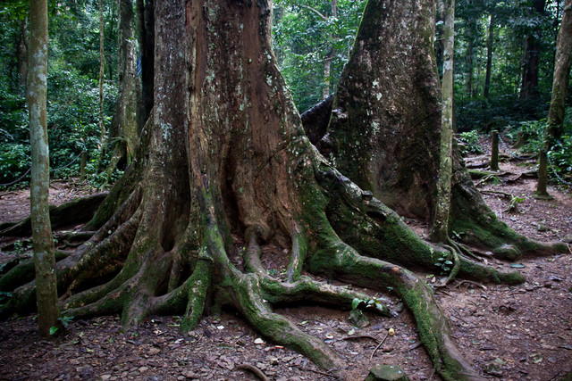 Những nét đặc sắc của Ninh Bình qua ống kính phó nháy Mỹ - Hình 10 Nhung net dac sac cua Ninh Binh qua ong kinh pho nhay My-Hinh-10