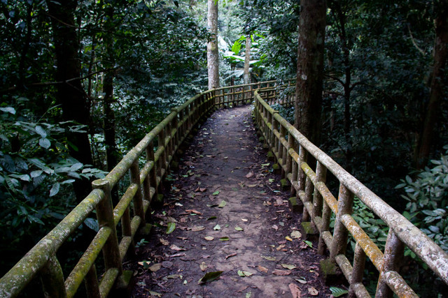 Những nét đặc sắc của Ninh Bình qua ống kính phó nháy Mỹ - Hình 9 Nhung net dac sac cua Ninh Binh qua ong kinh pho nhay My-Hinh-9