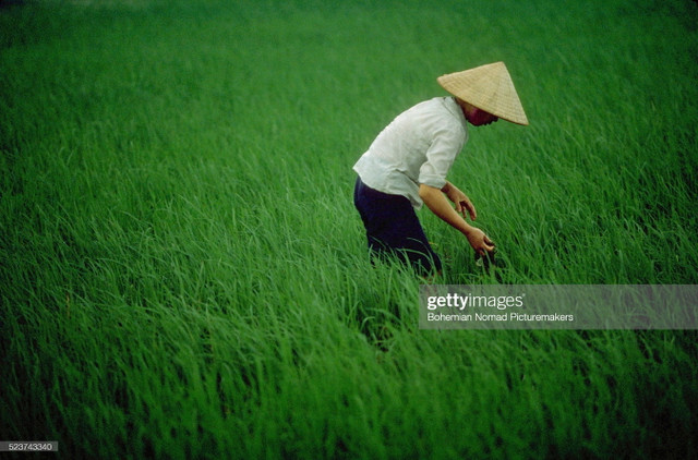 Cuộc sống cực nhộn nhịp ở Hà Nội năm 1991 qua ảnh - Hình 11 Cuoc song cuc nhon nhip o Ha Noi nam 1991 qua anh-Hinh-11