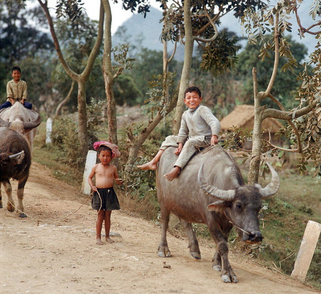 Những hình ảnh khó quên ở miền Bắc Việt Nam năm 1973 - Hình 8 Nhung hinh anh kho quen o mien Bac Viet Nam nam 1973-Hinh-8