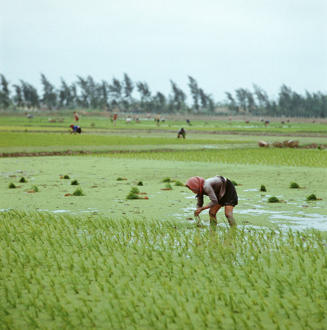 Những hình ảnh khó quên ở miền Bắc Việt Nam năm 1973 - Hình 3 Nhung hinh anh kho quen o mien Bac Viet Nam nam 1973-Hinh-3