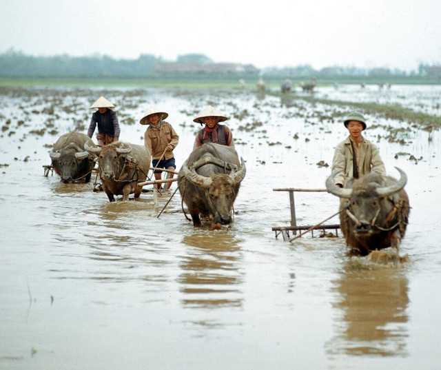 Những hình ảnh khó quên ở miền Bắc Việt Nam năm 1973 - Hình 6 Nhung hinh anh kho quen o mien Bac Viet Nam nam 1973-Hinh-6
